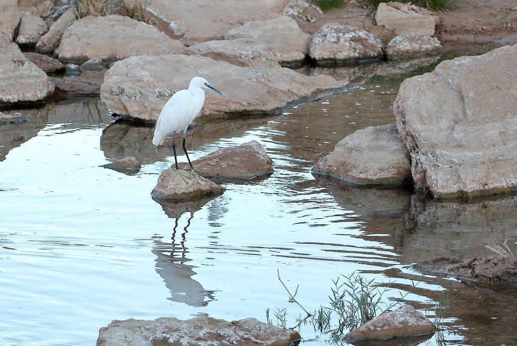 Готель Kasbah Tissint Екстер'єр фото