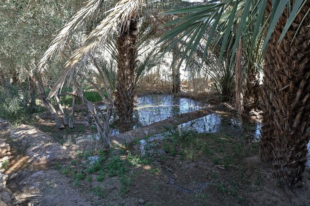 Готель Kasbah Tissint Екстер'єр фото
